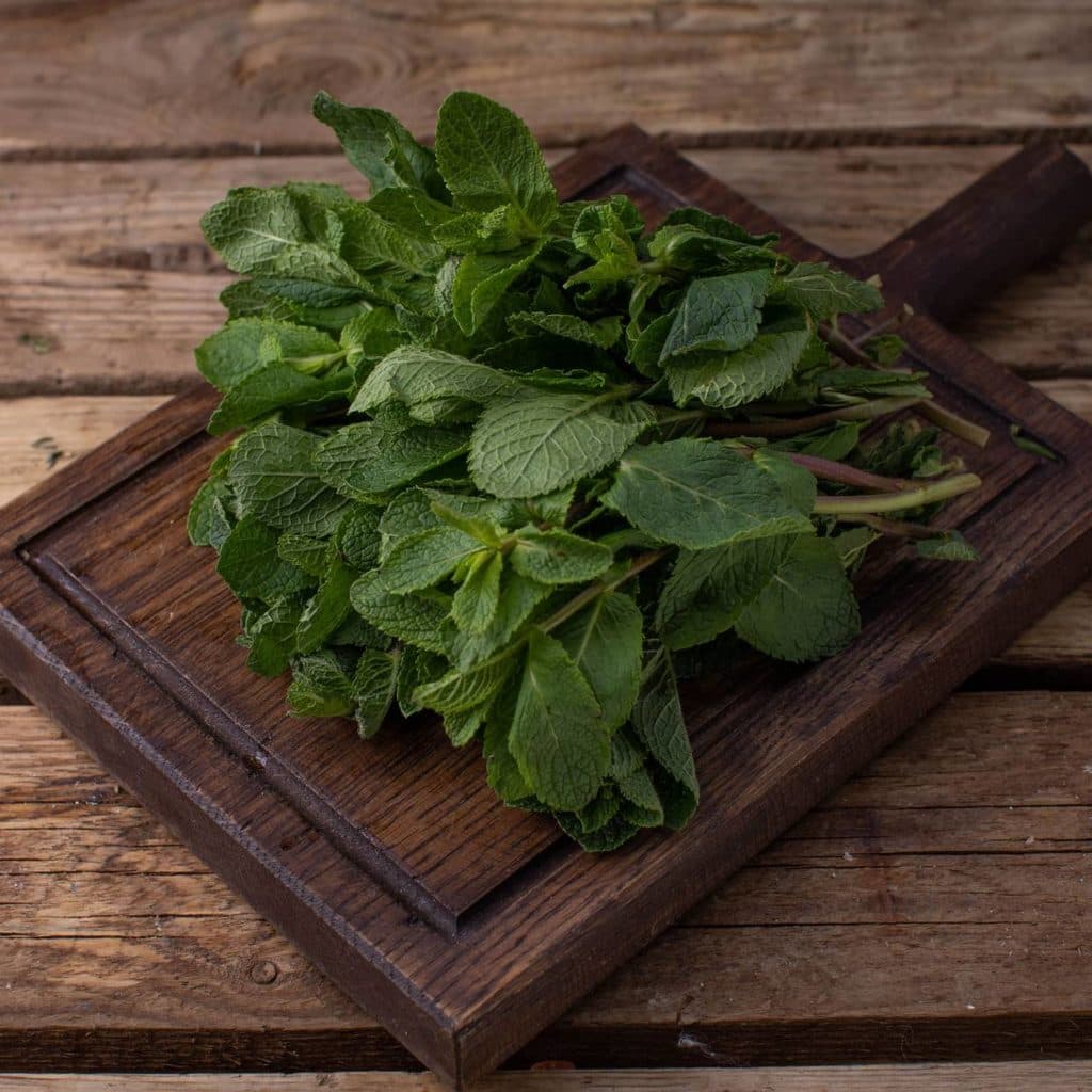 Зелень "Мята"