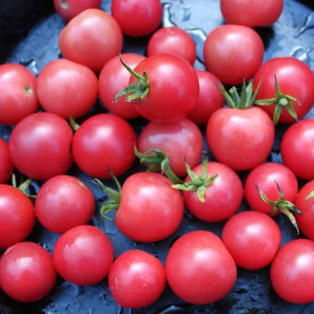 Помидоры розовые