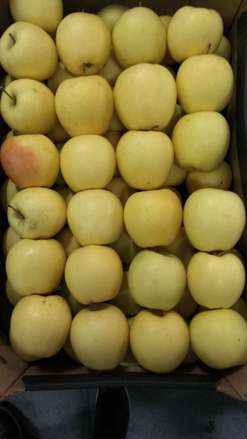 Яблоки "Зимний банан"